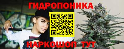 ГАЛЛЮЦИНОГЕННЫЕ ГРИБЫ Новозыбков