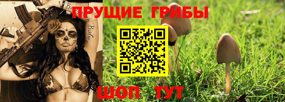 Галлюциногенные грибы MAGIC MUSHROOMS  Вход с VPN  Химки 
